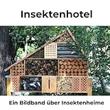 Insektenhotel: Ein Bildband über Insektenheime