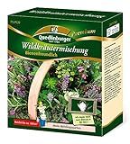 Quedlinburger 2971783 Wildkräuter (100 g) (Wildblumensamen)