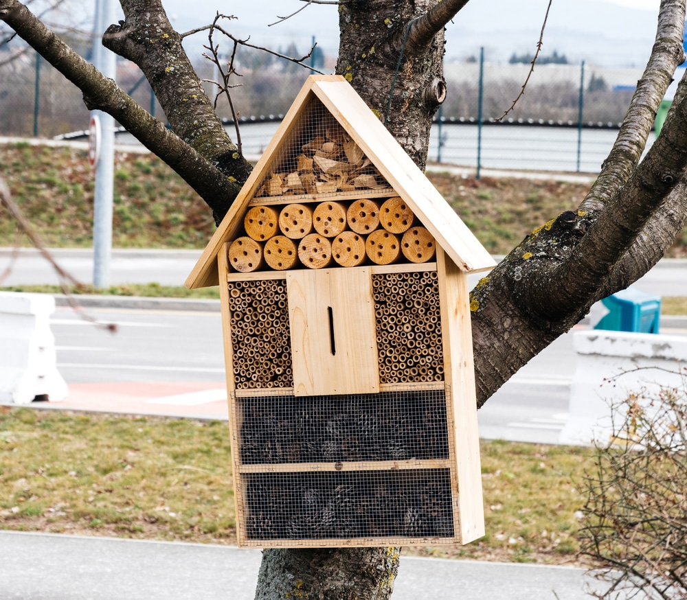 hotel-f-r-insekten-gelebte-gartenliebe