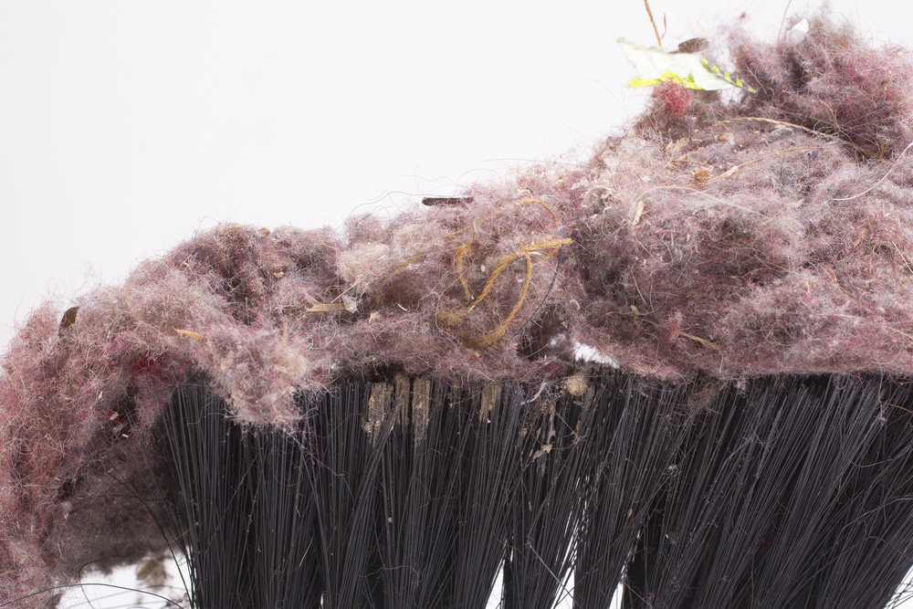 ERFAHRUNG MIT HAUSSTAUBALLERGIE visual data 7