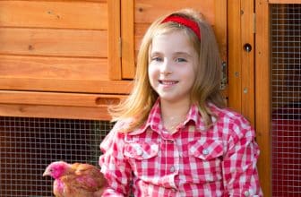 Hühnerstall für die Terrasse