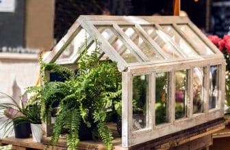 Mini-Glas-Gewächshaus