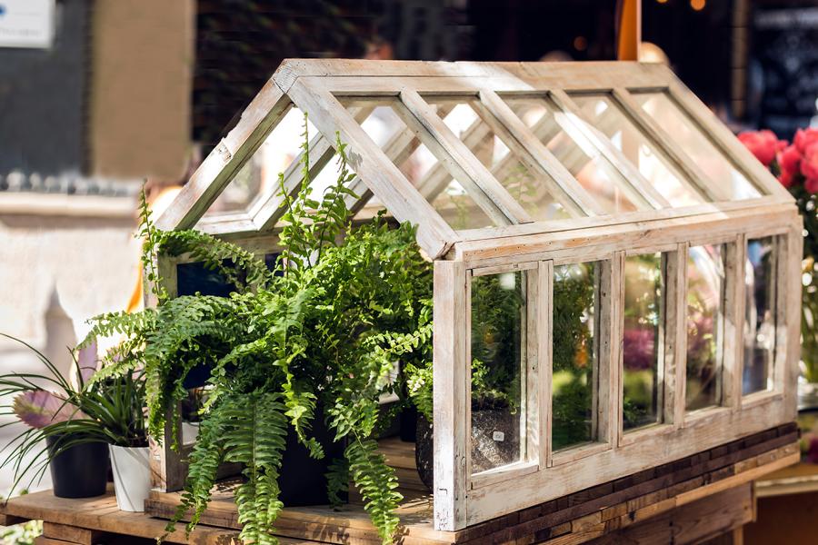 Das Mini GlasGewächshaus perfekt zum Anbau von Kräutern und Gemüse