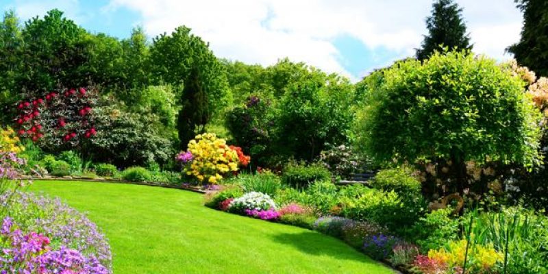 Garten perfekt für den Sommer vorbereiten – so geht es