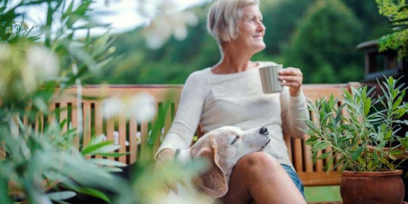 Die Gartenbank – Entspannung im Freien