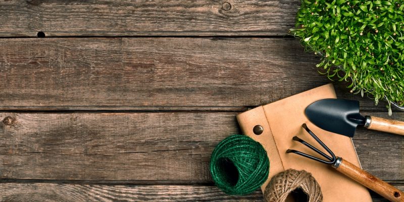 Gartenschrank mit Flachdach