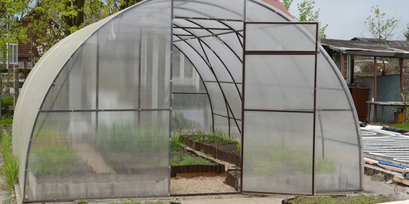 Gewächshaus von Gärtner Pötschke
