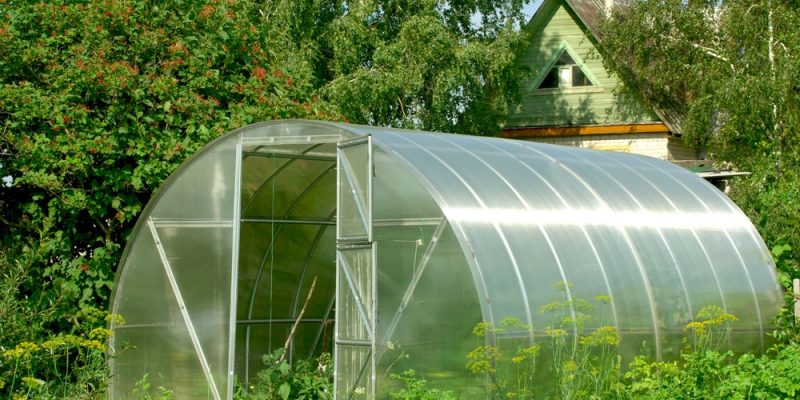 Deuba Gewächshaus Klammern Set – 50 Stück