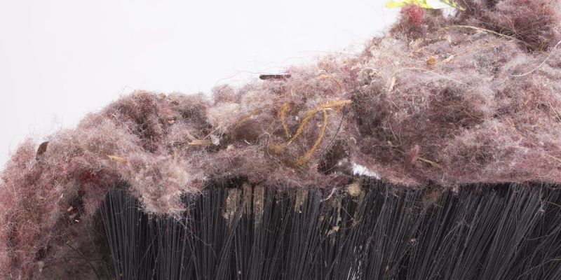 Auslöser einer Hausstauballergie