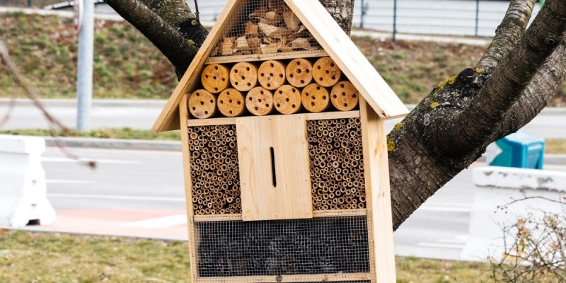 Hotel für Insekten