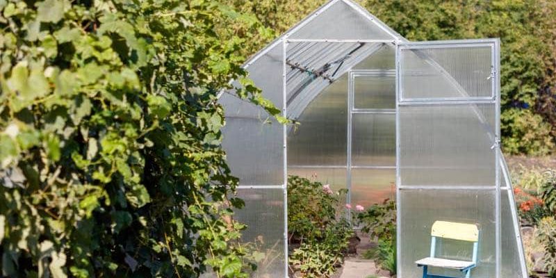 Lohnt sich ein Gewächshaus im Kleingarten?