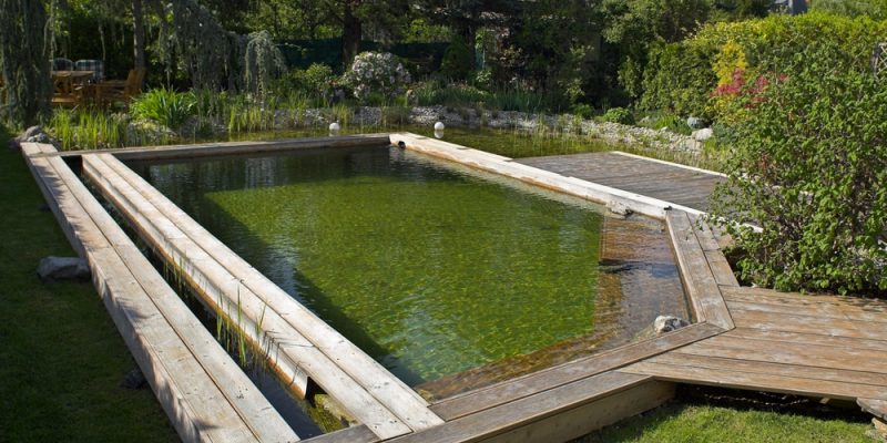 Schwimmteich anlegen – mit welchen Kosten ist zu rechnen? 