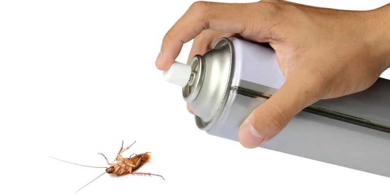 Ungeziefer-Spray – schnelle Hilfe gegen Schädlinge