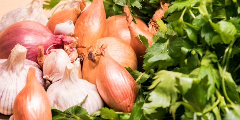 Unterschied Schalotte und Zwiebel