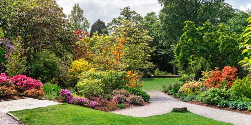 Große Gärten leichter pflegen mit diesen Tipps